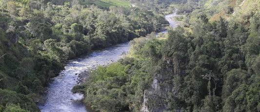 Colombia Huila La Argentina