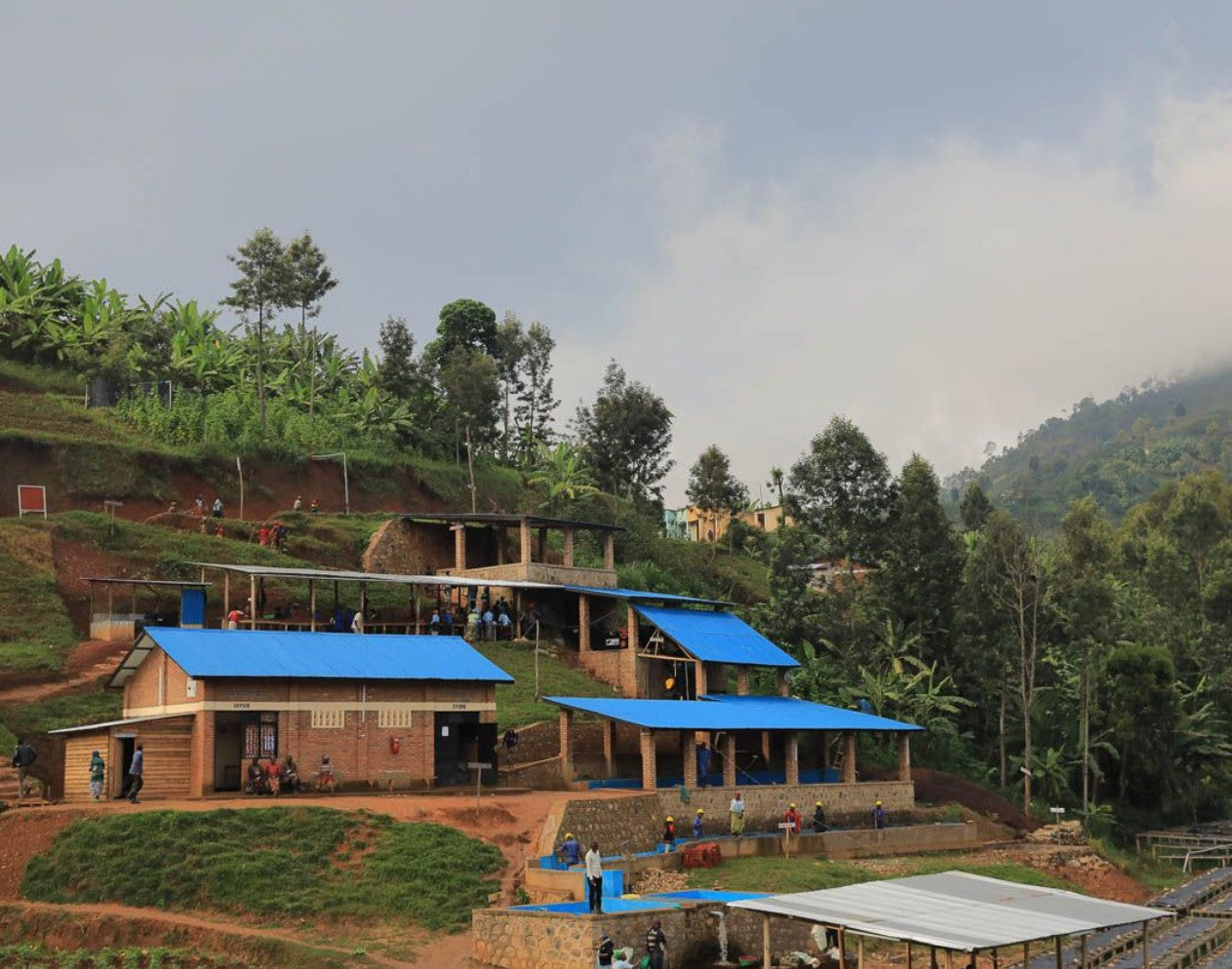 Rwanda Anaerobic Karambi