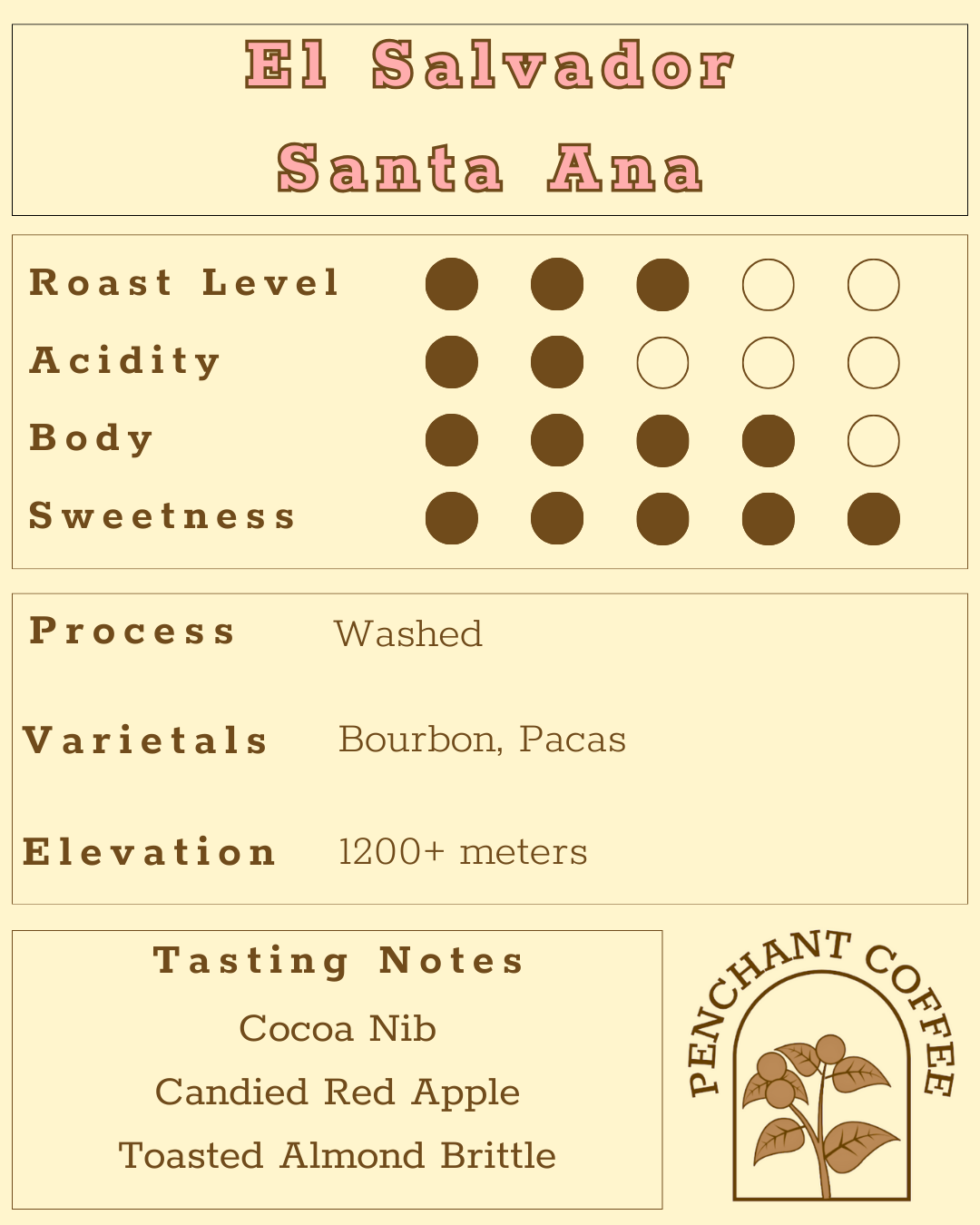 El Salvador Santa Ana Washed