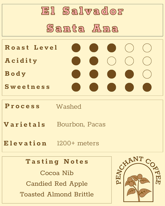 El Salvador Santa Ana Washed