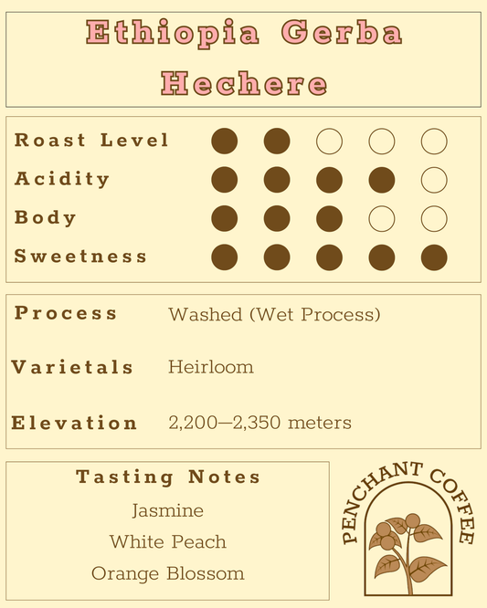 Ethiopia Gerba Hechere