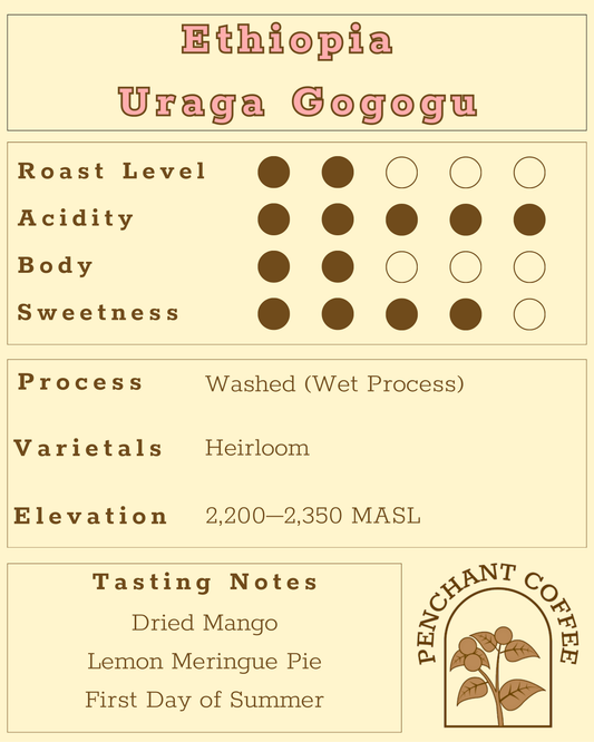 Ethiopia Uraga Gogogu Washed