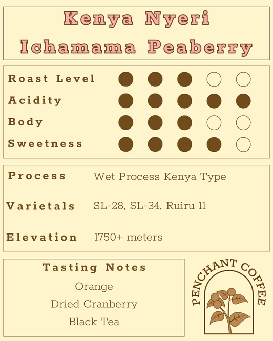 Kenya Nyeri Ichamama Peaberry