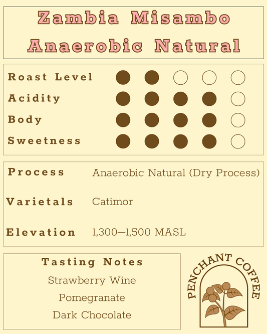 Zambia Misambo Anaerobic Natural
